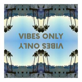 Album cover of Vibes Only