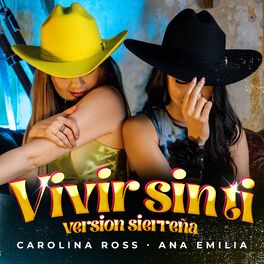 Album cover of Vivir Sin Ti ( Version Acustica )