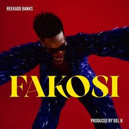Album cover of Fakosi