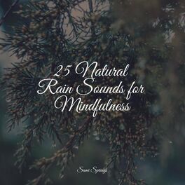 Album cover of 25 Natural Rain Sounds for Mindfulness