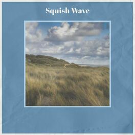 Album cover of Squish Wave