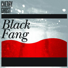 Album cover of Black Fang