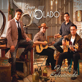 Album cover of Viola Enfeitiçada