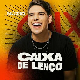 Album cover of Caixa de Lenço