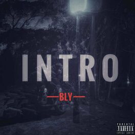 Album cover of Intro