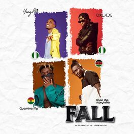 Album cover of Fall (African Remix)