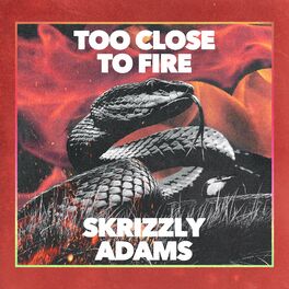 Album cover of Too Close To Fire
