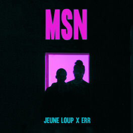 Album cover of MSN
