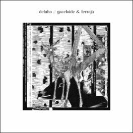 Album cover of Deluho