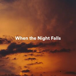 Album cover of When the Night Falls