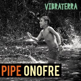 Album cover of Vibraterra