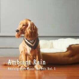 Album cover of Ambient Rain: Anxiety Cure Music for Pets Vol. 1