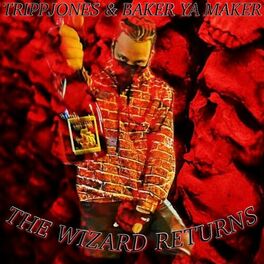 Album cover of The Wizard Returns