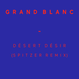 Album cover of Désert Désir (Spitzer Remix) - Single