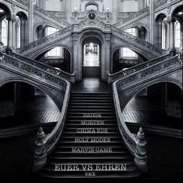 Album cover of euer vs ehren (RMX)