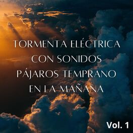 Album cover of Tormenta Eléctrica Con Sonidos Pájaros Temprano En La Mañana Vol. 1