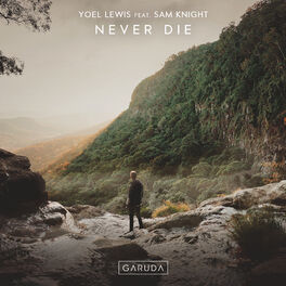 Album cover of Never Die