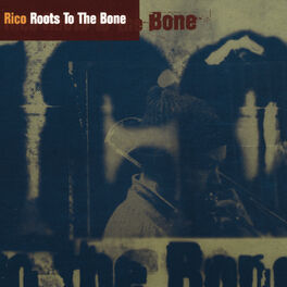Album cover of Roots To The Bone
