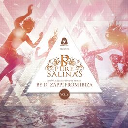 Album cover of Pure Salinas, Vol. 6 (Compiled by DJ Zappi)