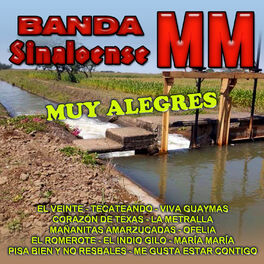 Album cover of Muy Alegres, Vol. 1