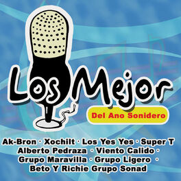 Album cover of Los Mejor del Ano Sonidero