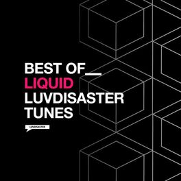 Album cover of Best of Liquid LuvDisaster Tunes