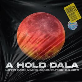 Album cover of A hold dala
