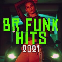 BR Funk Hits 2021 CD Completo