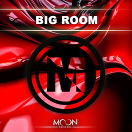 Album cover of Moon Records Presents Big Room