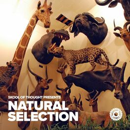 Album cover of Skool of Thought presents Natural Selection