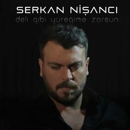 Album cover of Deli Gibi Yüreğime Zorsun
