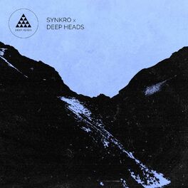 Album cover of Synkro X Deep Heads