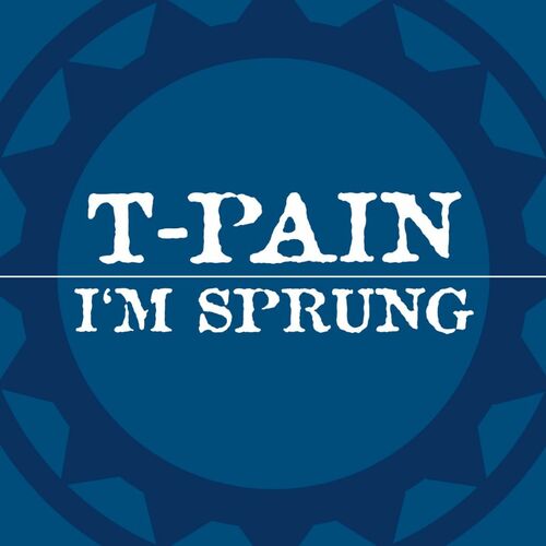 T-Pain – I'm Sprung 2 Lyrics
