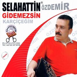 Album cover of Gidemezsin