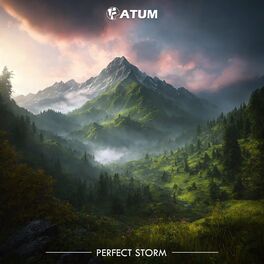 Album cover of Perfect Storm