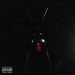Album cover of Chromatyk