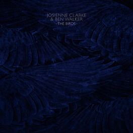 Album cover of The Birds