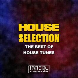 Album cover of House Selection (The Best Of House Tunes)