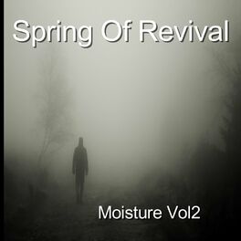 Album cover of Spring Of Revival