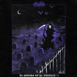 Album cover of Purple Vision (Radio Edit)