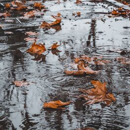 Album cover of Summer Blissful Summer Rain Sounds for Relaxation & Meditation