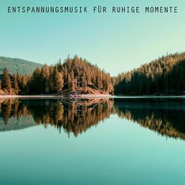 Album cover of Entspannungsmusik für ruhige Momente