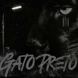 Album cover of GATO PRETO