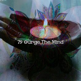 Album cover of 79 Surge The Mind