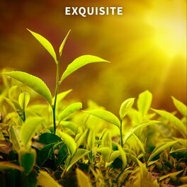 Album cover of Exquisite