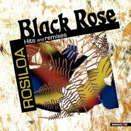 Album cover of Rosiloa Hits & Remixes