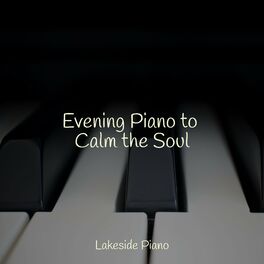 Album cover of Evening Piano to Calm the Soul