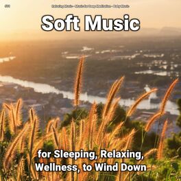 Album cover of #01 Soft Music for Sleeping, Relaxing, Wellness, to Wind Down