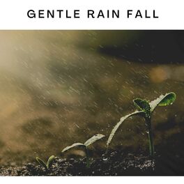 Album cover of Gentle Rain Fall