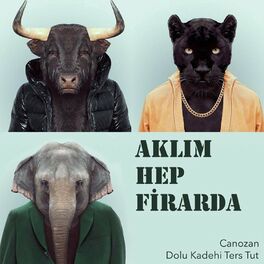 Album cover of Aklım Hep Firarda